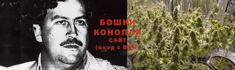 Бошки Шишки THC 21%  Карабулак 